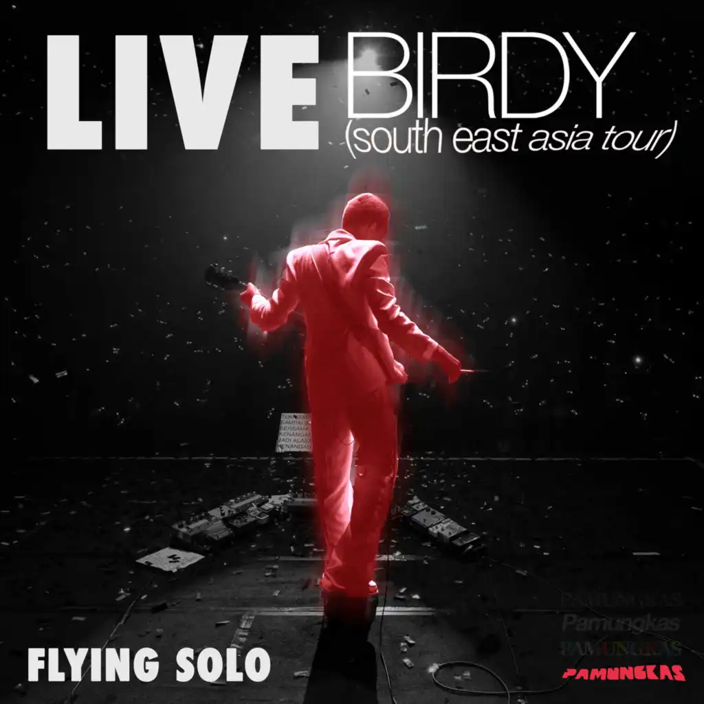 Flying Solo (Live at Birdy South East Asia Tour)