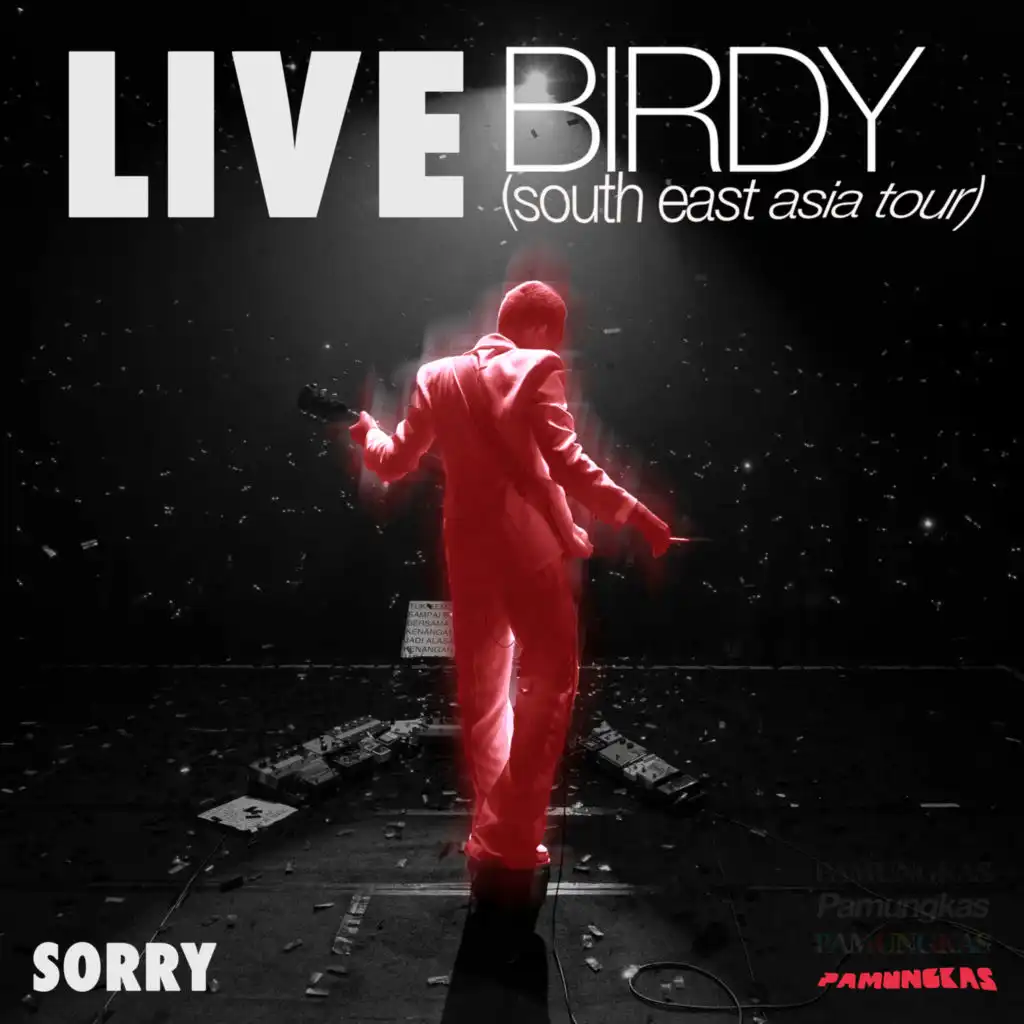 Sorry (Live at Birdy South East Asia Tour)