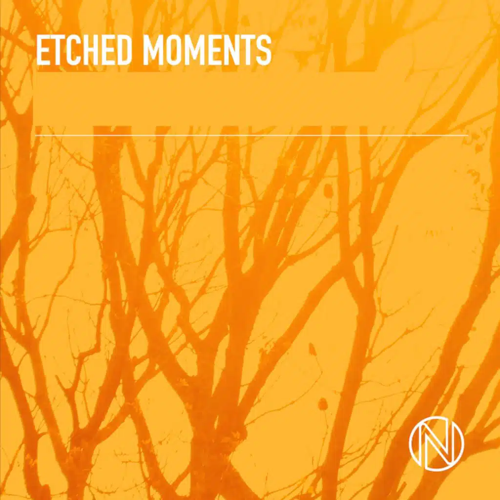 James Harris, Jason Pedder & Michael Bradley