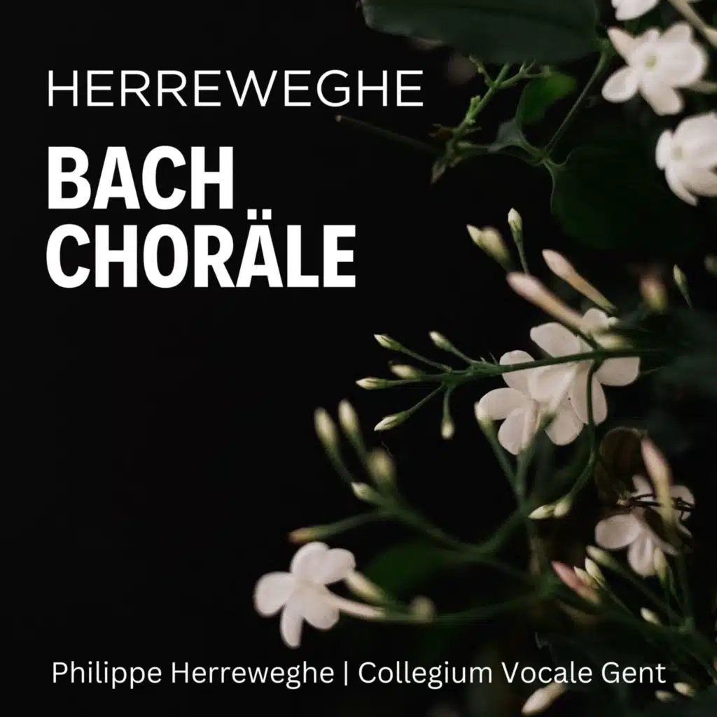 Collegium Vocale Gent / Philippe Herreweghe