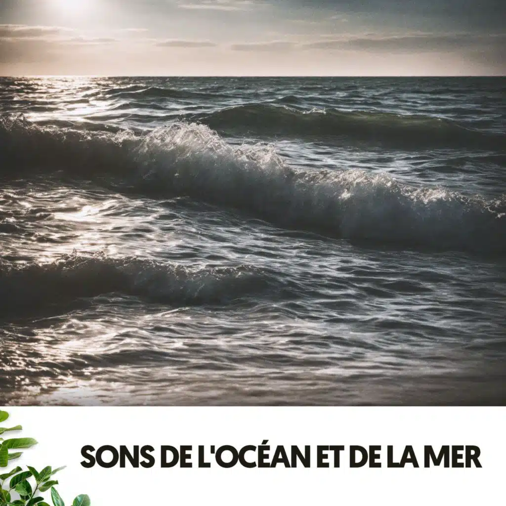 Sons de l'Océan et de la Mer: Mélodies de l'Eau et du Rocher