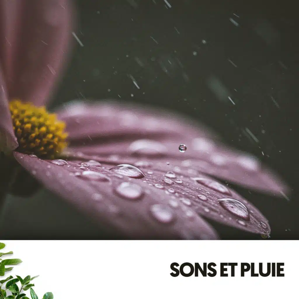 Les secrets du jardin secret