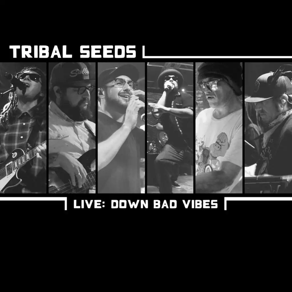 Down Bad Vibes - Live