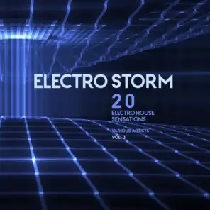 Electro Storm, Vol. 3 (20 Electro House Sensations)