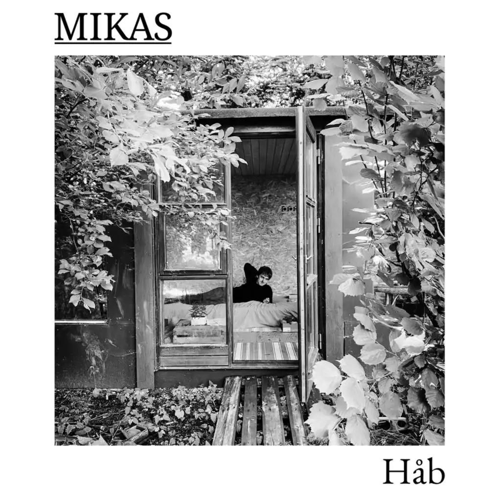 Mikas