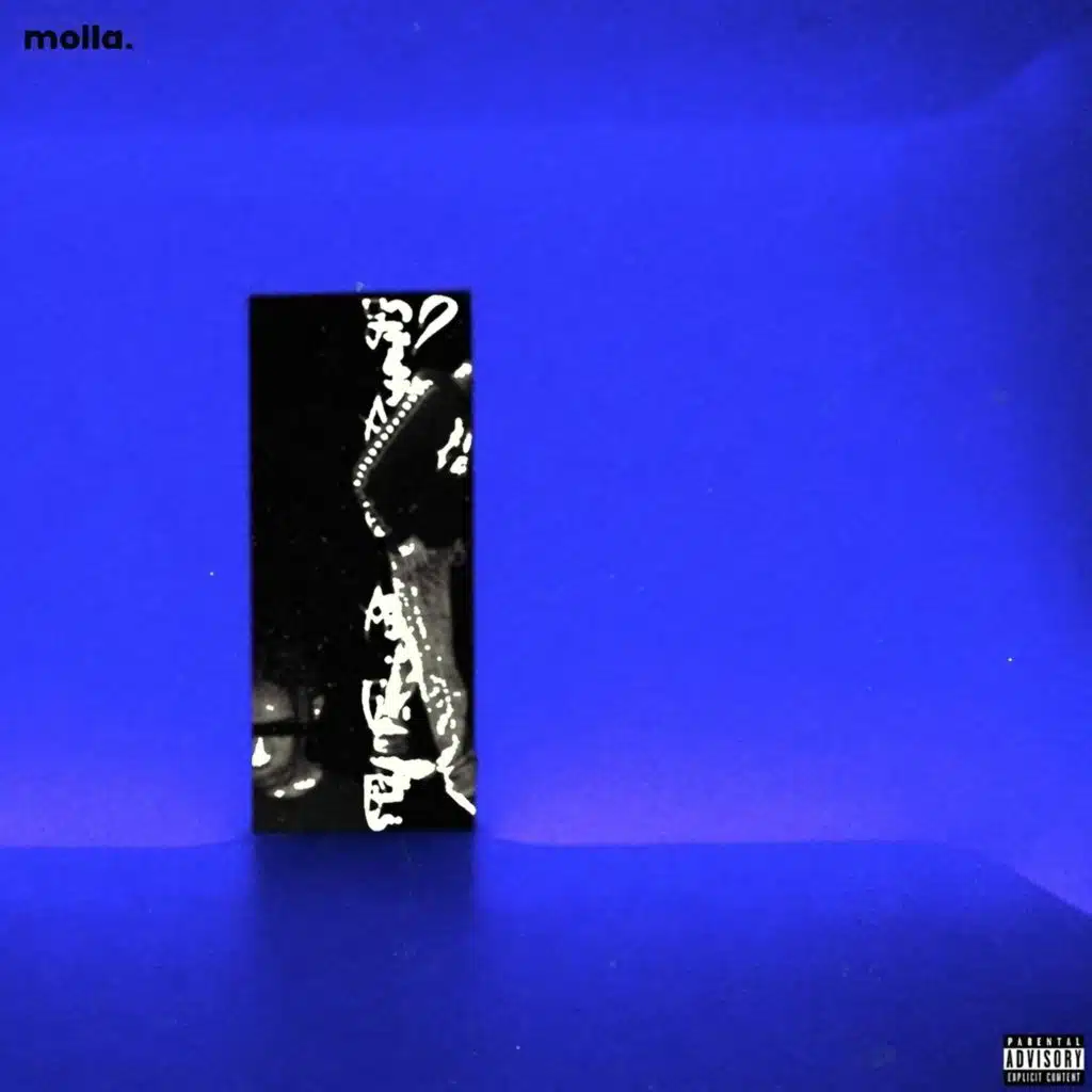 انوار المدينة