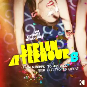 Berlin Afterhour, Vol. 8 (From Minimal to Techno / From Electro to House)