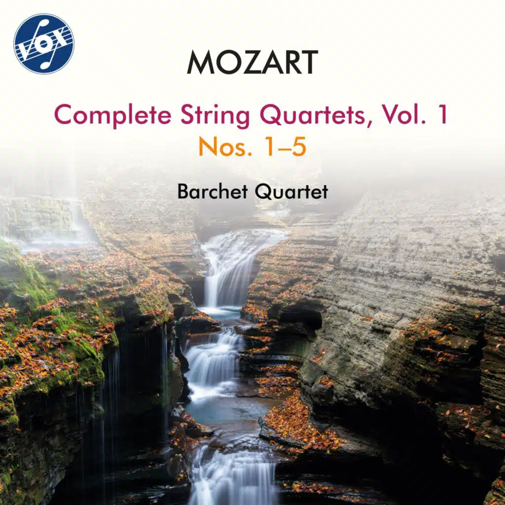 String Quartet No. 1 in G Major, K. 80: II. Allegro