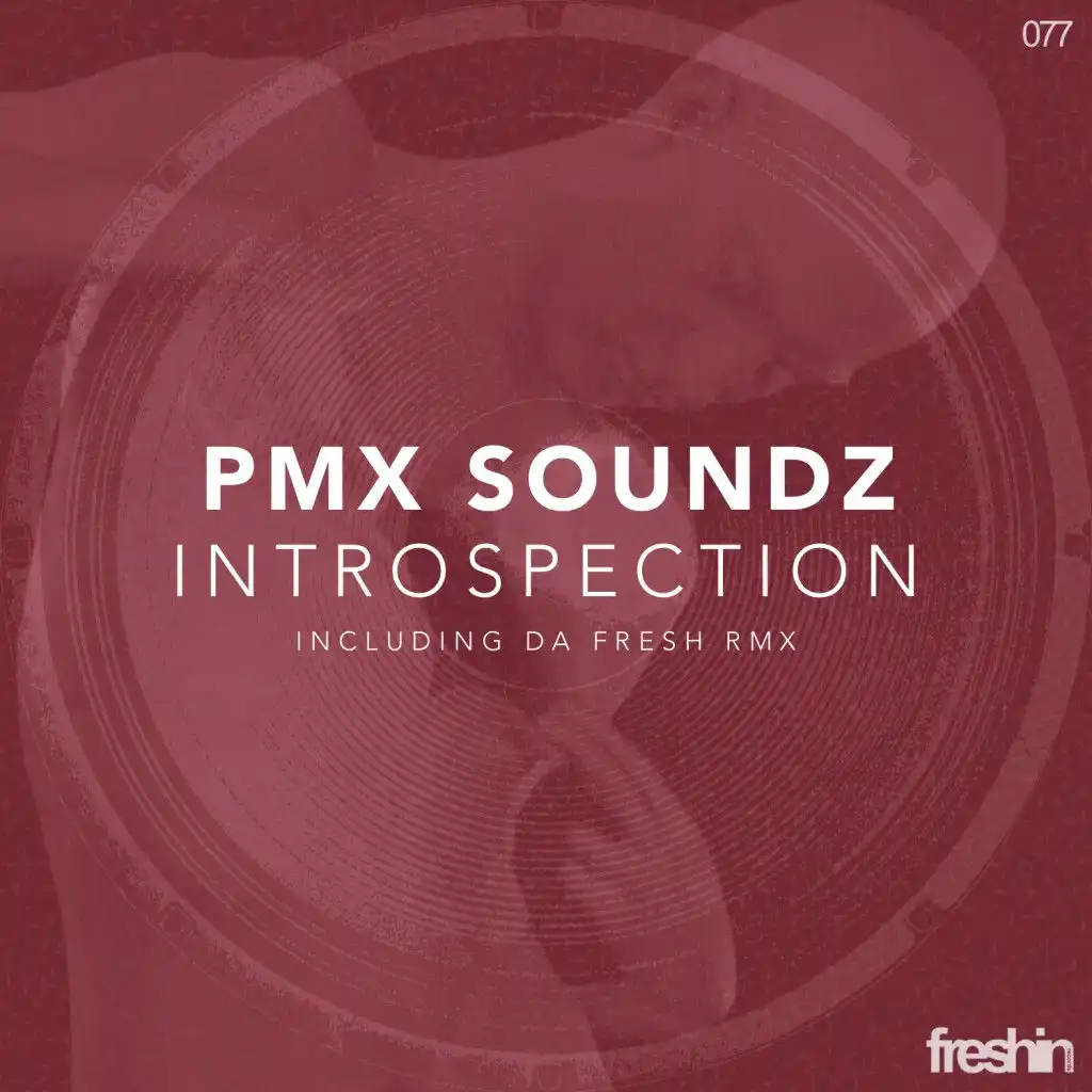 Pmx Soundz - Introspection