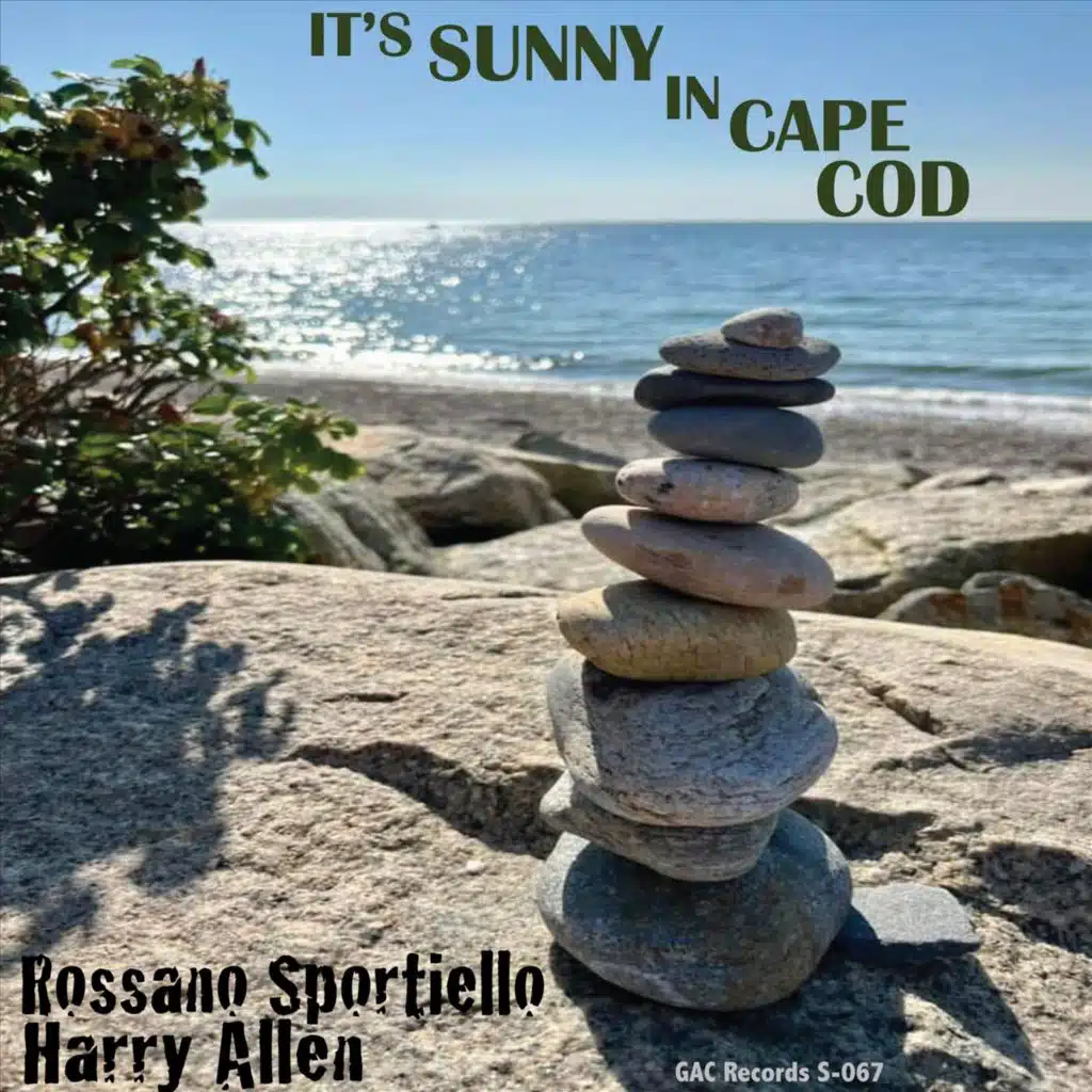 It's Sunny in Cape Cod
