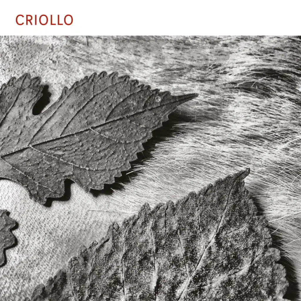 Criollo (feat. Seva Castro & Santiago Arias)