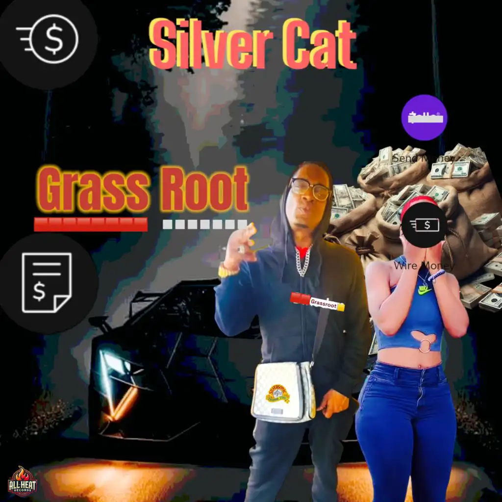 Silver Cat