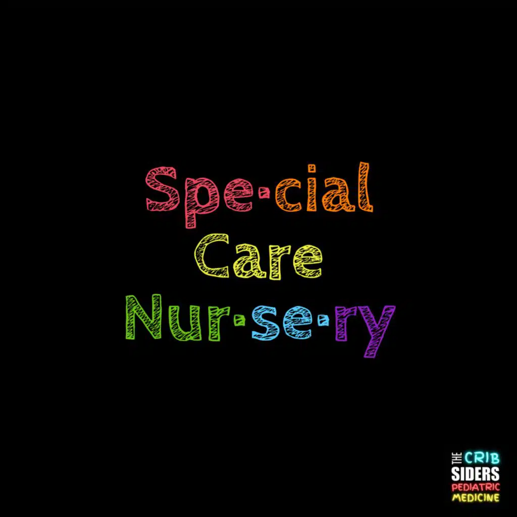 S6 Ep131: New Kids on the Block: Special Care Nursery