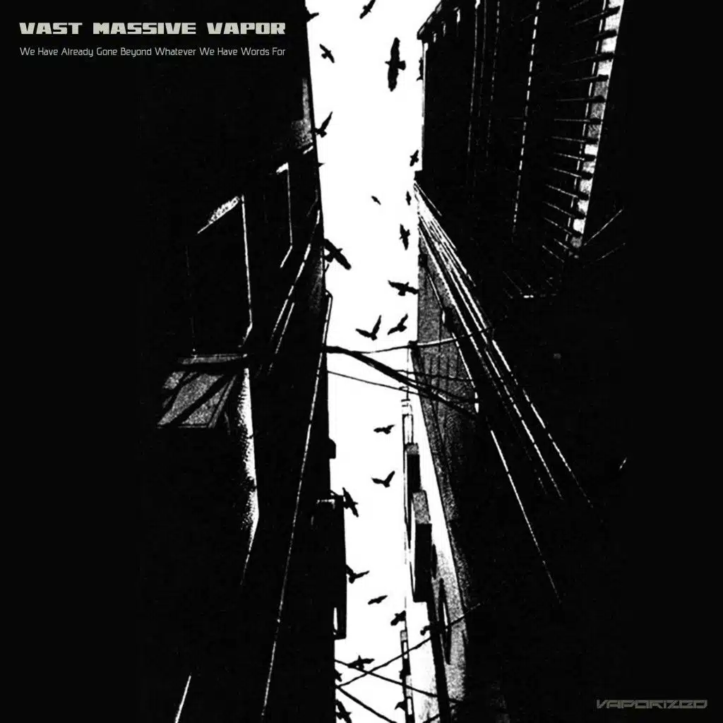 We Have Already Gone Beyond Whatever We Have Words For