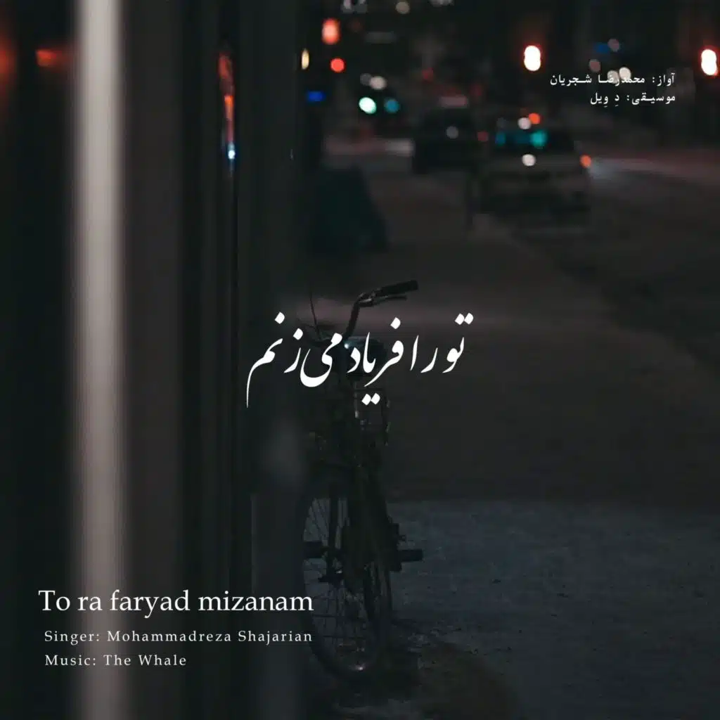 Tora faryad mizanam (Rework of M.R Shajarian)