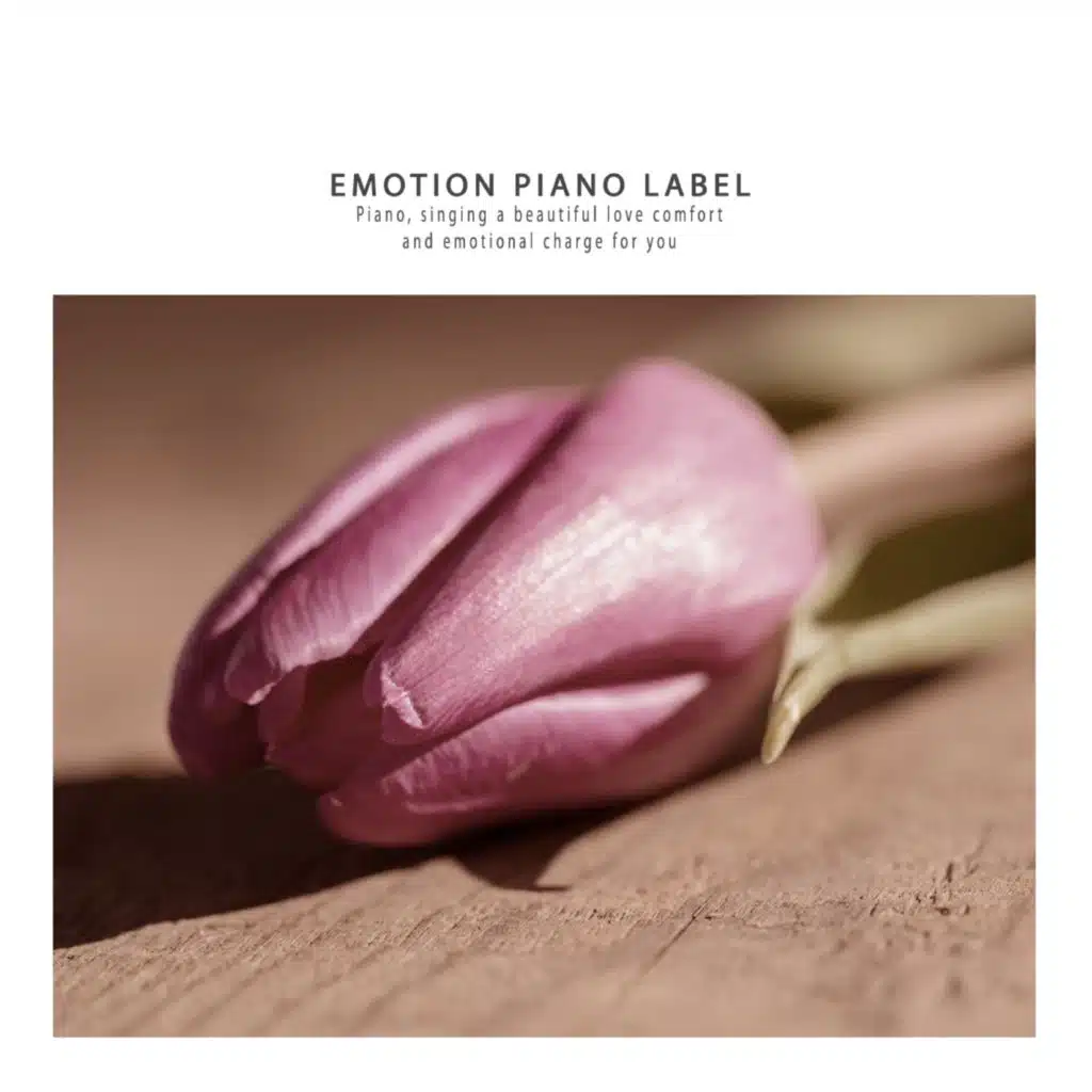 Sensibility new age piano that sympathizes sorrow of parting