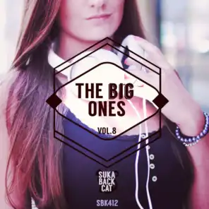 The Big Ones, Vol. 8