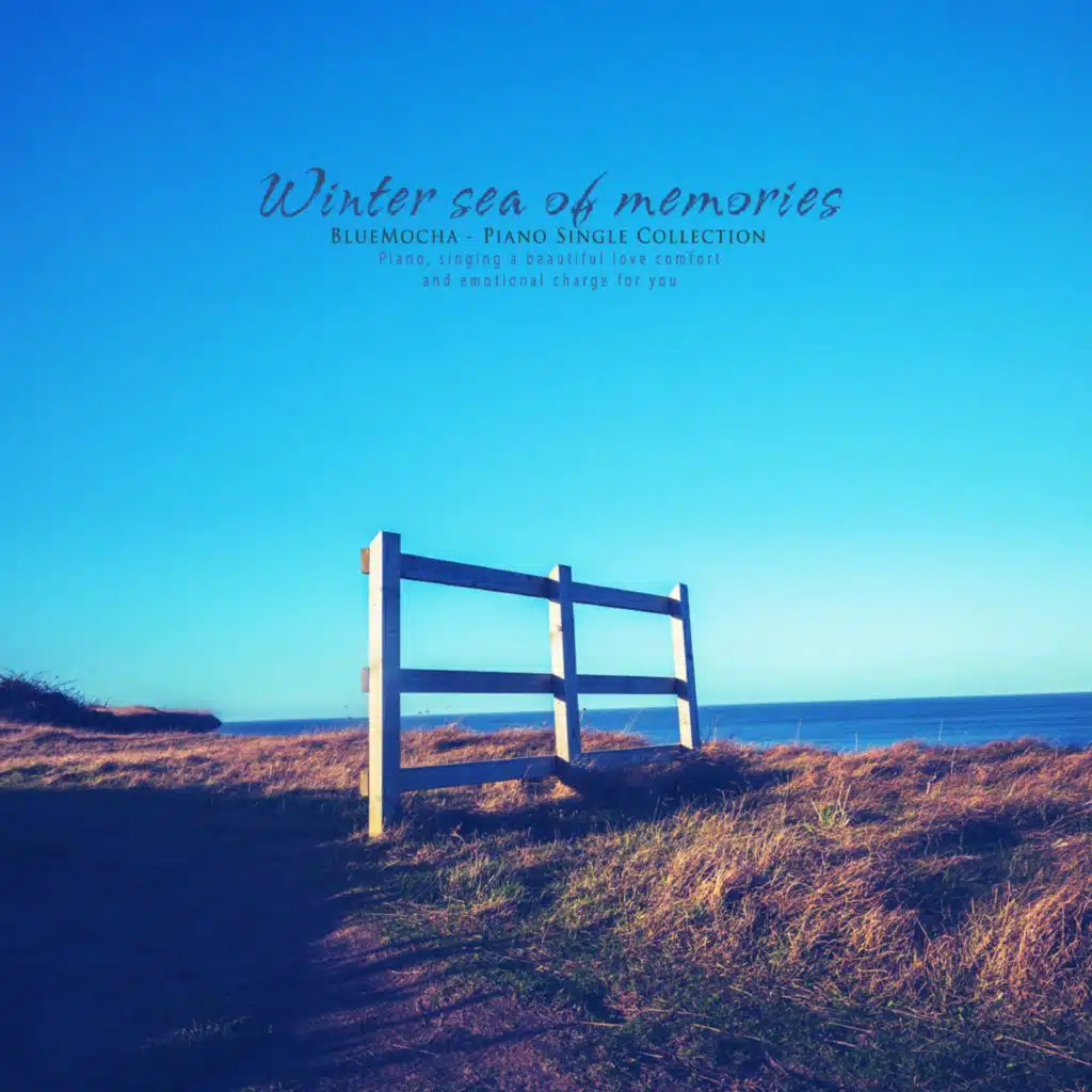 Memories of winter seas