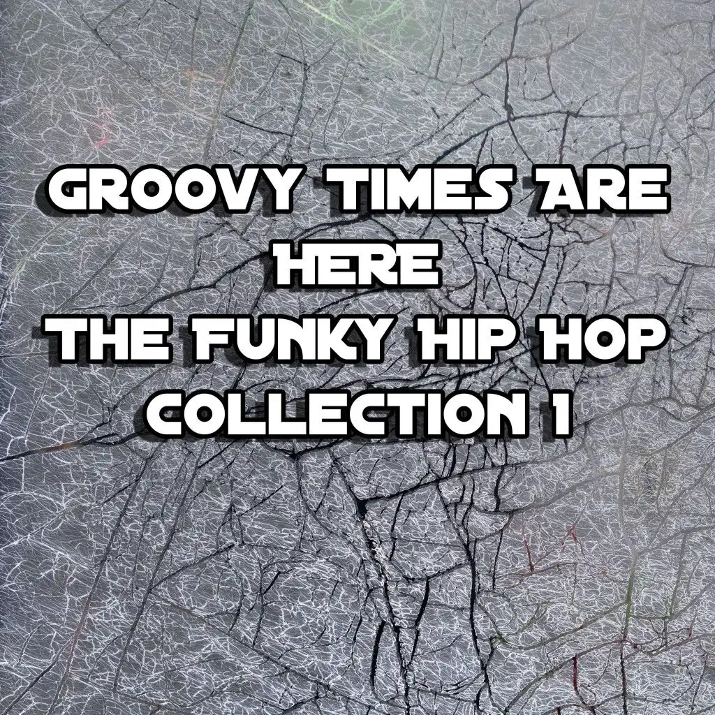 Groovy Times Are Here: The Funky Hip Hop Collection 1