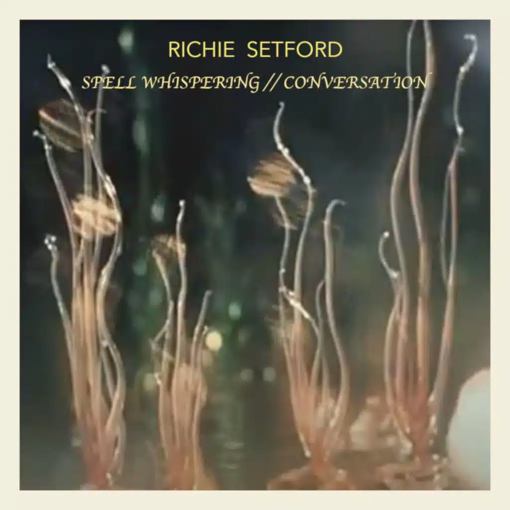 Richie Setford