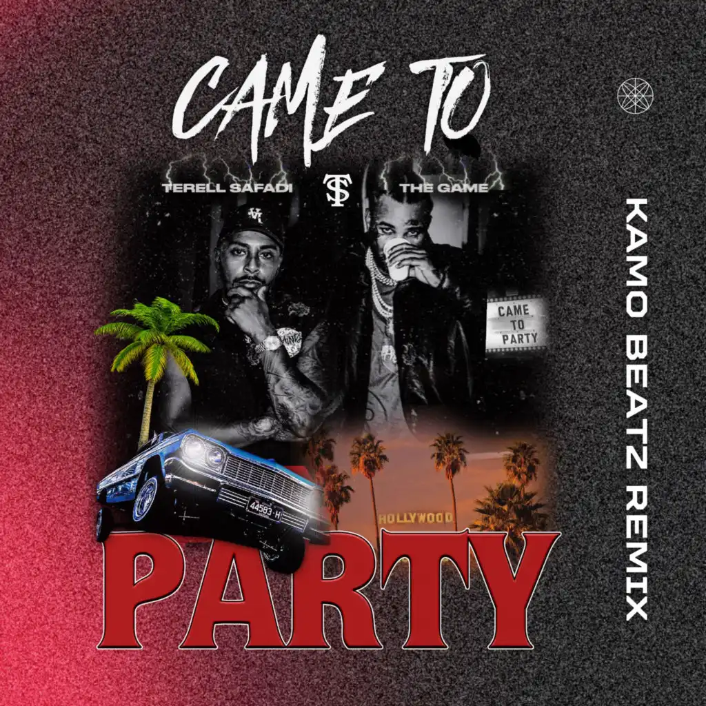 Came To Party (Kamo Beatz Remix)