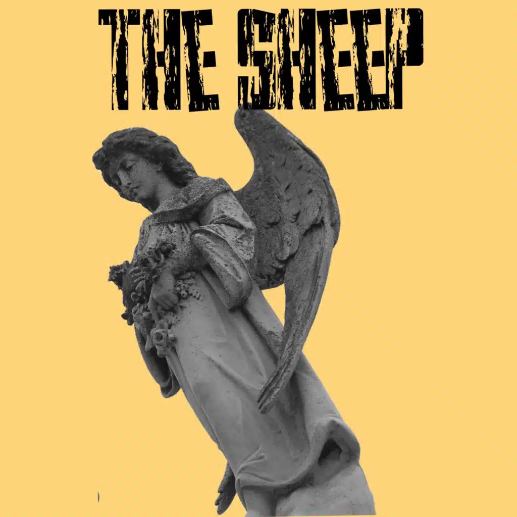 The Sheep