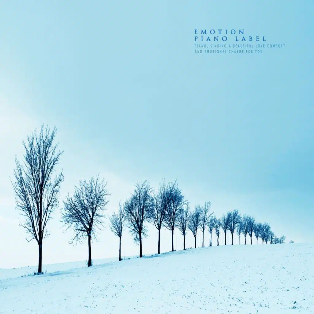 I walk the memory of winter (a collection of emotional piano)