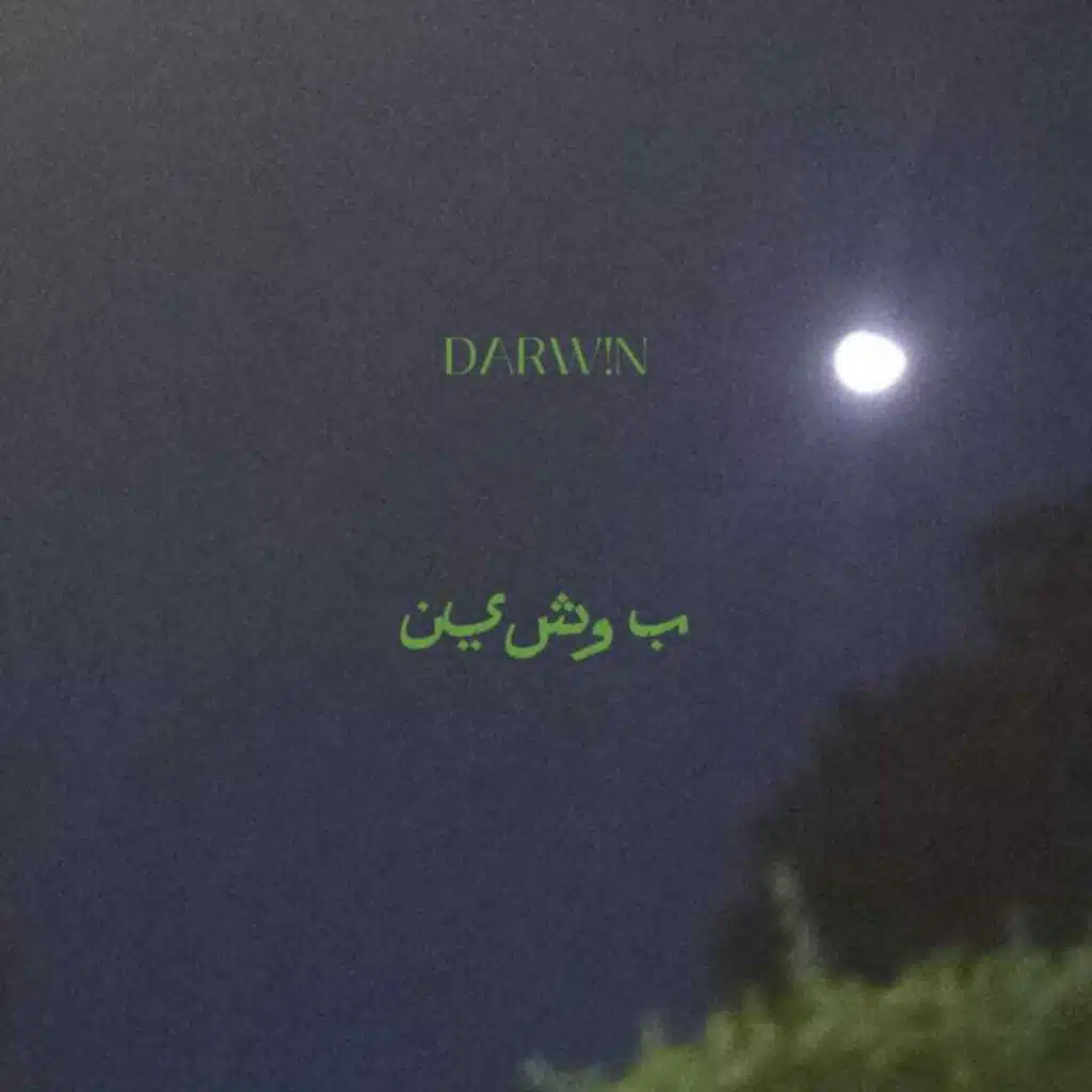 بوشين