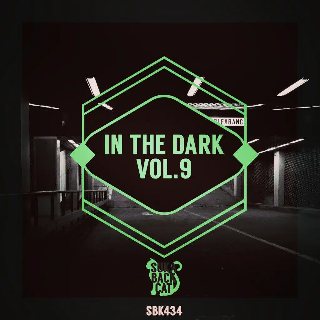 In the Dark, Vol. 9