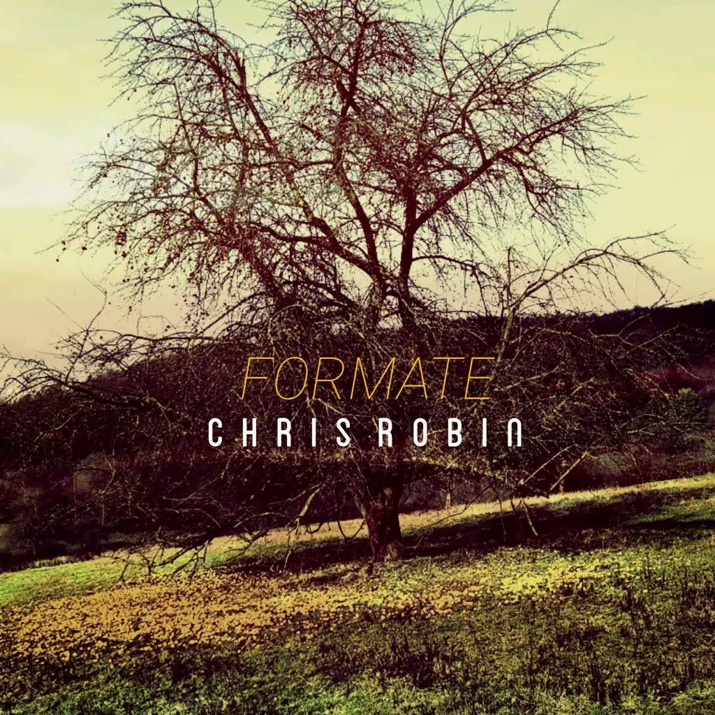 Formate (Bela Bang Remix)