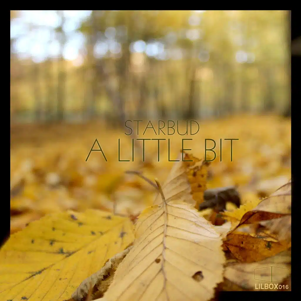 A Little Bit