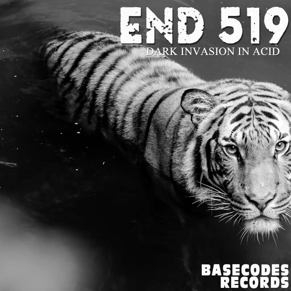 Dark Invasion in Acid (Andre Rauer Remix)