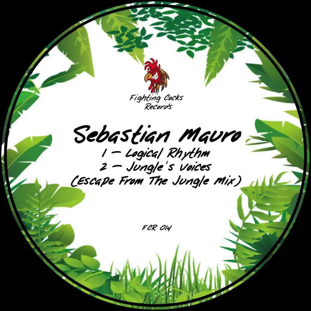 Logical Rhythm / Jungle's Voices