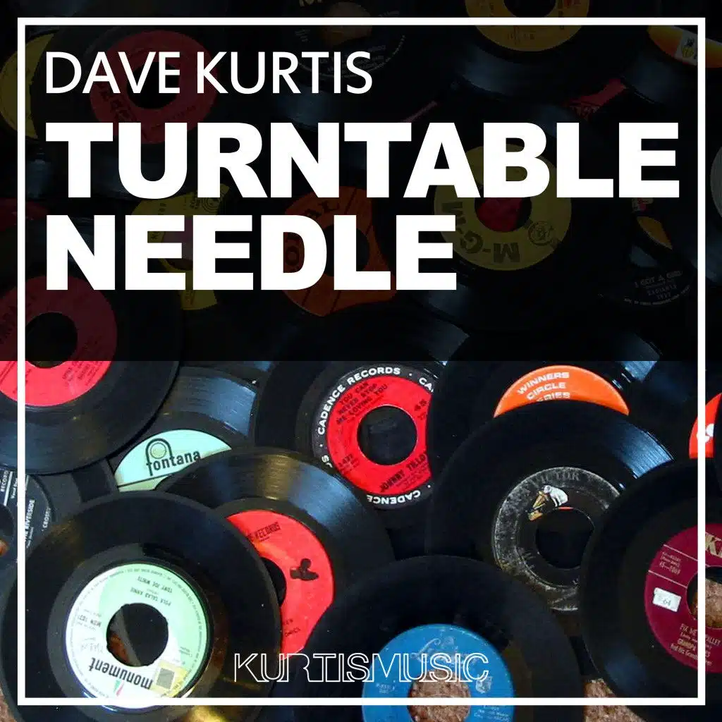 Turntable Needle