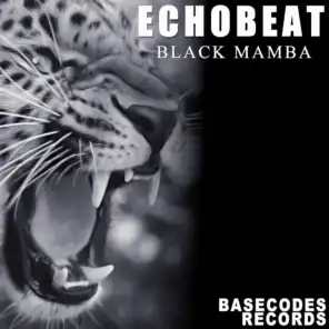 Black Mamba (Roberto Monisardo Remix)