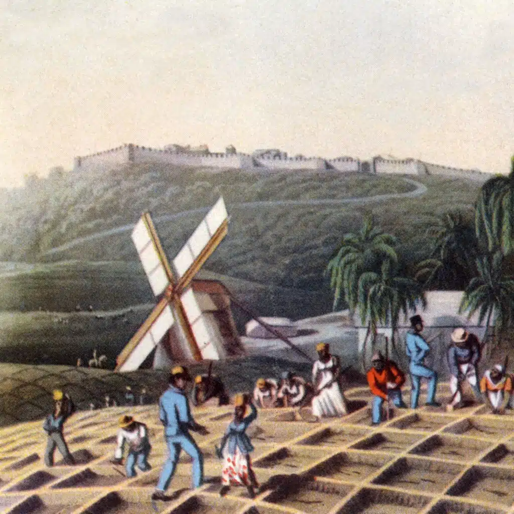 Azúcar, la especia más irresistible