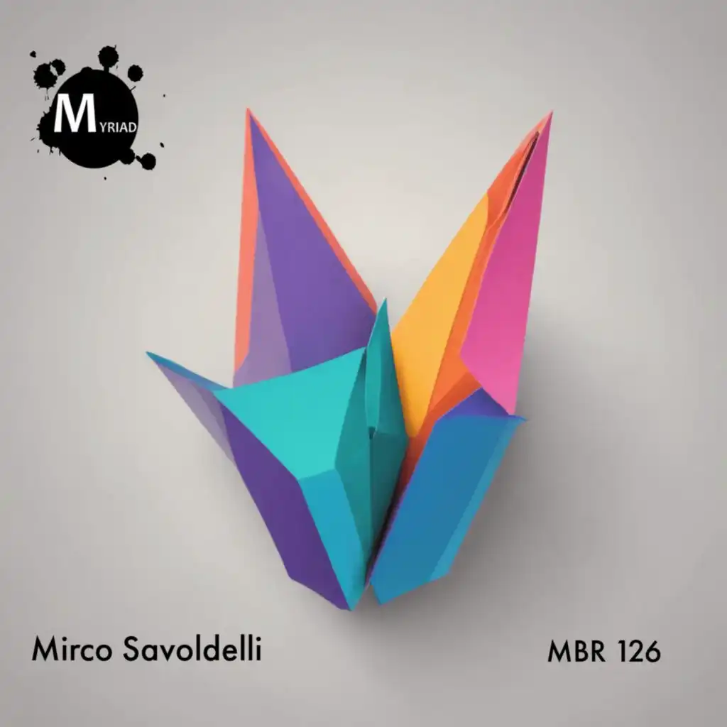 Mirco Savoldelli