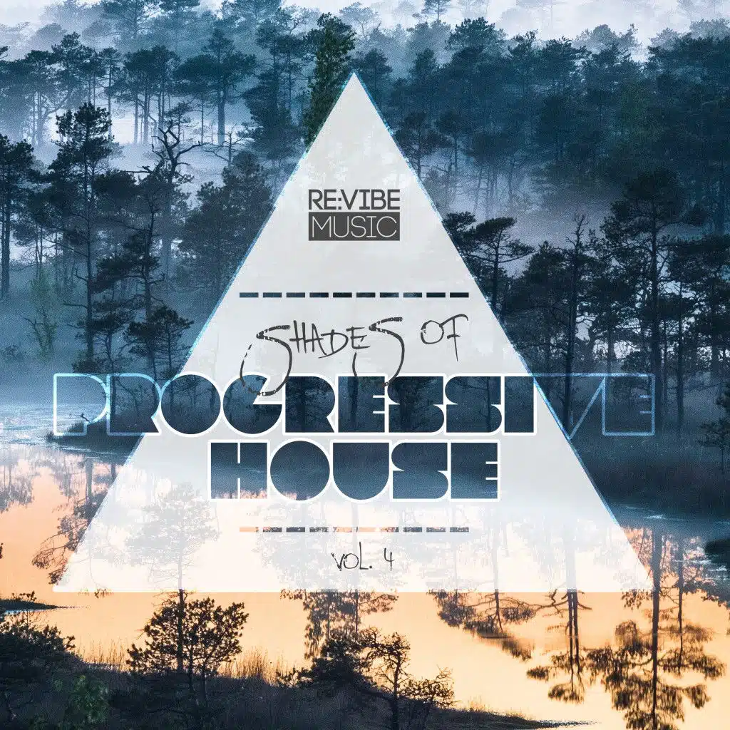 Ready for You (DJ Observer Remix)