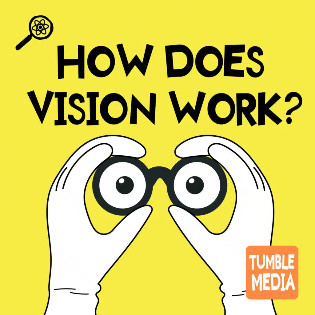 How Does Vision Work?