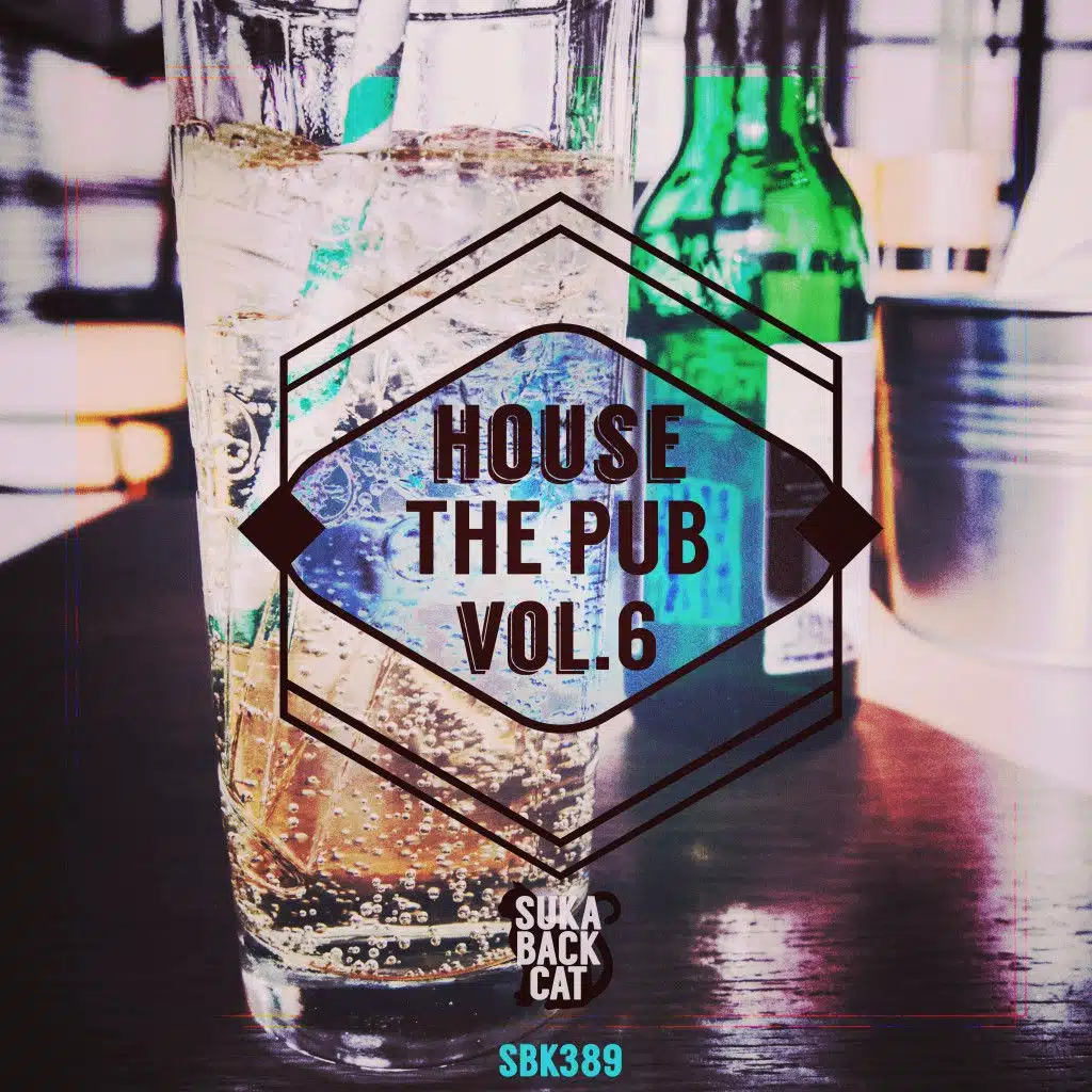 House the Pub, Vol. 6