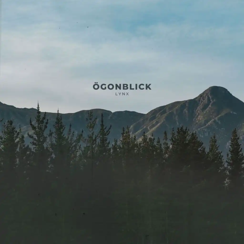 Ögonblick