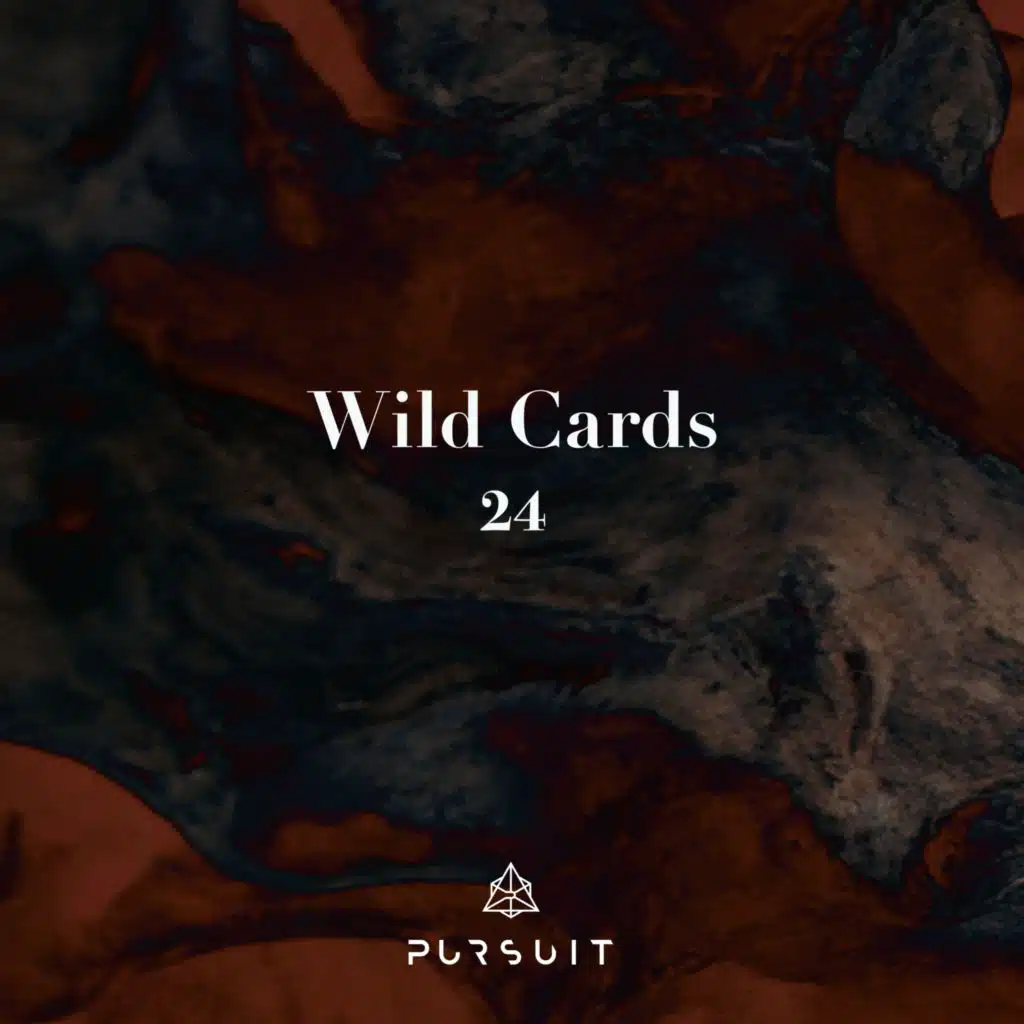 Wild Cards 24