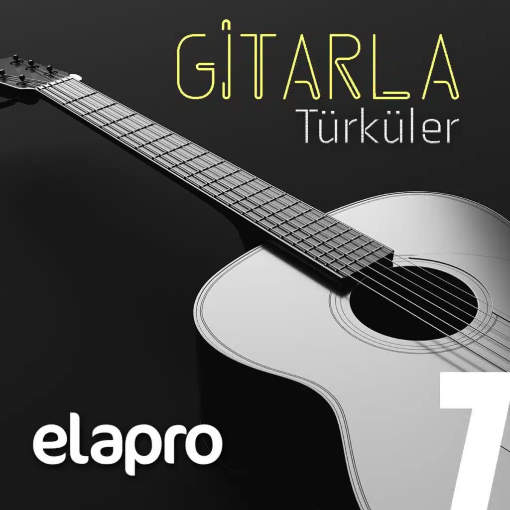 Gitarla Türküler #7