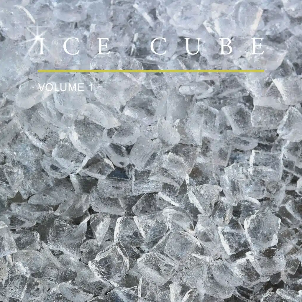 Ice Cube, Vol. 1