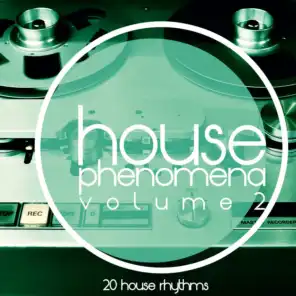 House Phenomena, Vol. 2