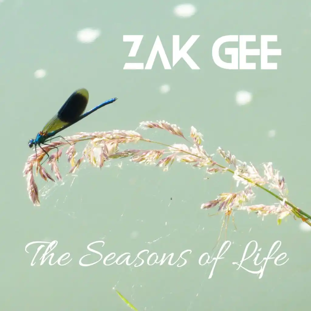 Zak Gee