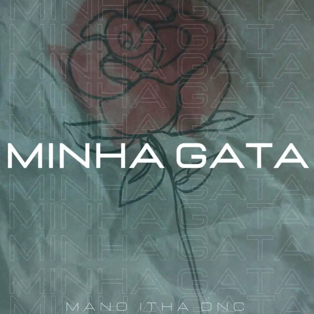 Minha Gata