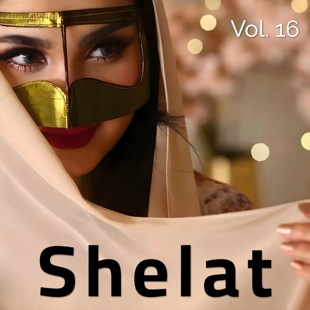 Shelat,Vol. 16