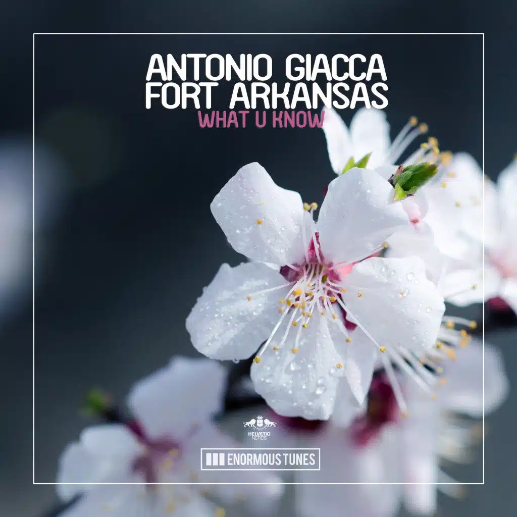 Antonio Giacca & Fort Arkansas