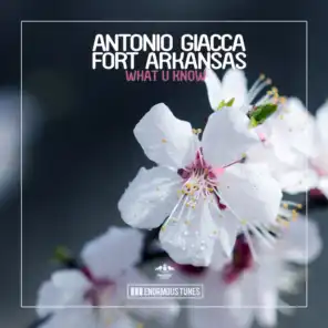 Antonio Giacca & Fort Arkansas